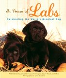 In Praise of Labs [Click for larger image]
