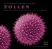 Pollen : The Hidden Sexuality of Flowers cover