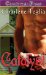 Catalyst cover