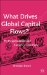 What Drives Global Capital Flows? : Myth, Speculation And Currency Diplomacy cover