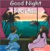 Good Night Florida cover