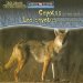 Coyotes Are Night Animals / Los Coyotes Son Animales Nocturnos cover