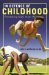 In Defense of Childhood : Protecting Kids Inner Wildness cover