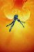 Phoenix cover