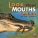 Look What Mouths Can Do cover