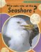 Who Eats Who on the Seashore? cover