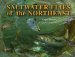 Saltwater Flies of the Northeast cover