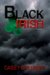 Black Irish cover
