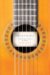 Practicing : A Musician's Return to Music cover