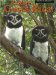 Explore Costa Rica cover