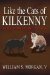 Like the Cats of Kilkenny : A True Story of the Civil War cover