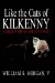 Like the Cats of Kilkenny : A True Story of the Civil War cover