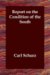 Report on the Condition of the South cover