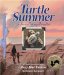 Turtle Summer : A Journal for My Daughter cover