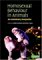 Homosexual Behaviour in Animals : An Evolutionary Perspective cover