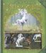 The Secret World of Unicorns cover