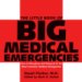 The Little Book of Big Medical Emergencies : How to Recognize and Respond to the Most Common Medical Emergencies cover