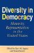 Diversity in Democracy : Minority Representation in the United States cover