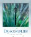 Dragonflies cover
