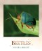 Beetles cover