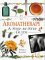 Aromatherapy : A Step-By-Step Guide cover