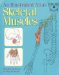 An Illustrated Atlas of the Skeletal Muscles cover