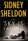The Sky Is Falling cover