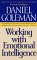  Working With Emotional Intelligence