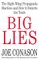 Big Lies : The Right-Wing Propaganda Machine and How It Distorts the Truth cover
