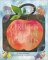 A Fruit Is a Suitcase for Seeds cover