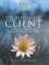 The Intelligent Client: Managing Your Management Consultant