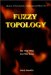 Fuzzy Topology cover