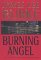 Burning Angel : A Novel cover