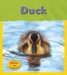 Duck cover