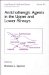Anticholinergic Agents in the Upper and Lower Airways cover