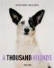 A Thousand Hounds cover