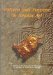Pattern and Purpose in Insular Art : Proceedings of the Fourth International Conference on Insular Art Held at the National Museum & Gallery, Cardiff 3-6 September 1998 cover