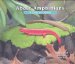 About Amphibians : A Guide for Children cover