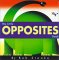  My Little Opposites Book