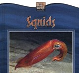 Squids [Click for larger image]