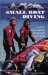 Small Boat Diving : A Guide to Buying, Outfitting, and Using Small Boats for Diving cover