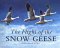 The Flight of the Snow Geese cover
