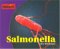 Salmonella cover
