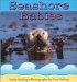 Seashore Babies cover