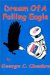 Dream of a Falling Eagle cover