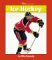  Ice Hockey