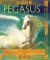 Pegasus cover