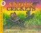  Chirping Crickets