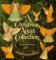 A Christmas Angel Collection : 12 Angels to Cut Out and Color cover
