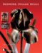 Ironwork : Dynamic Details cover